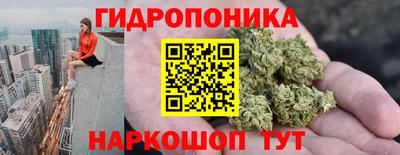 дживик Новозыбков